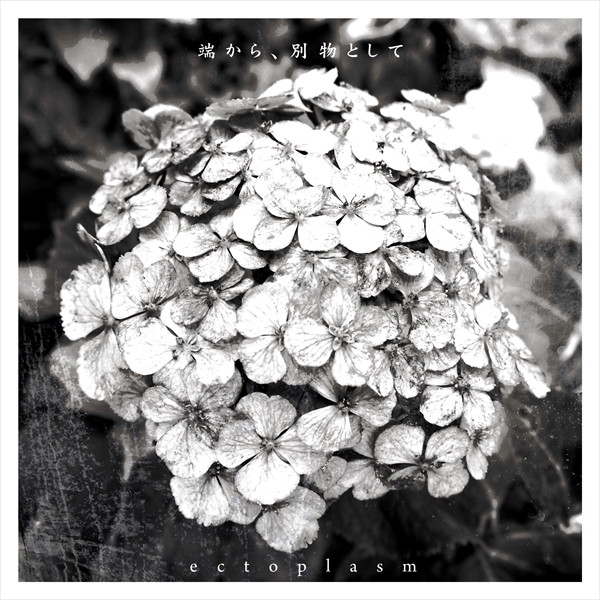 端から、別物として